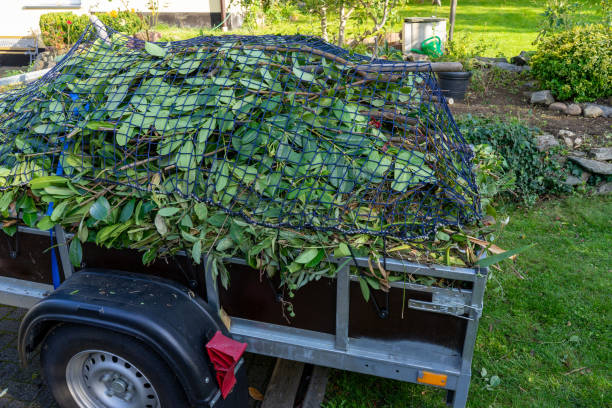 Best Dumpster Rental Services  in Omaha, NE